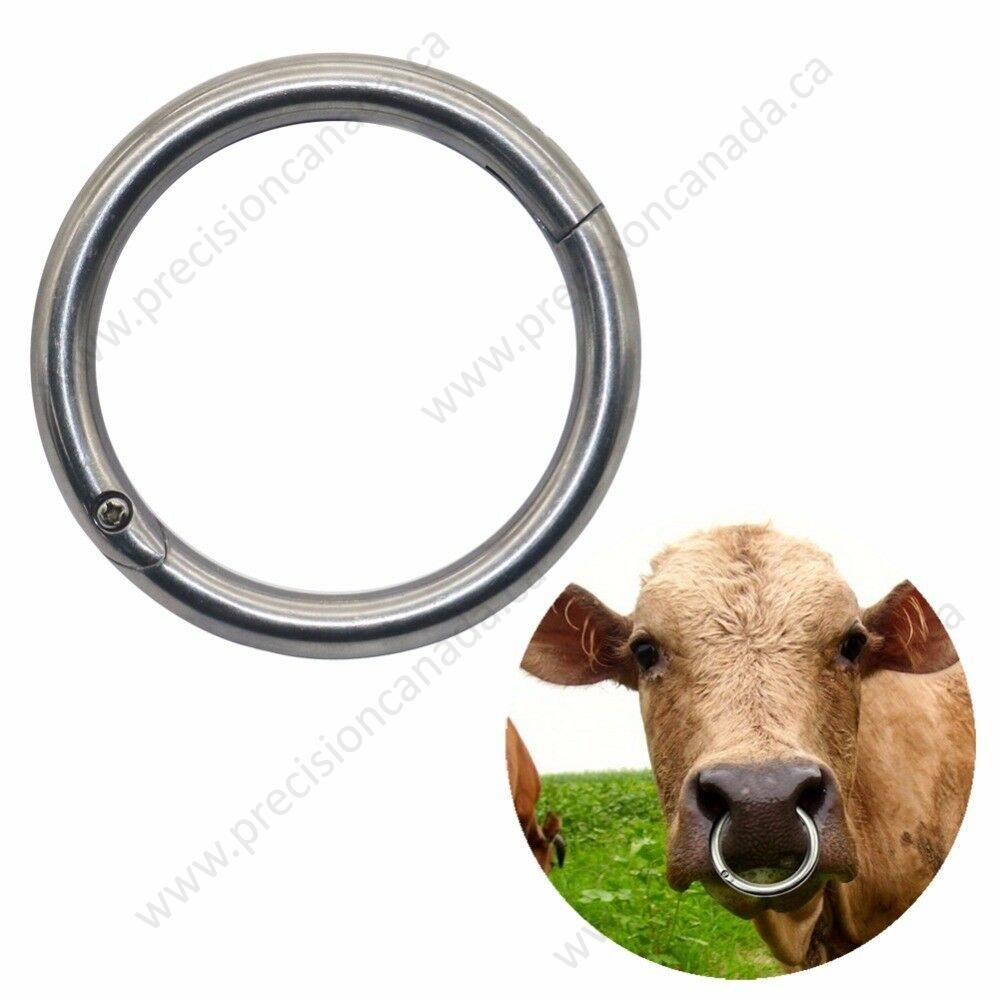 Ring nose hi-res stock photography and images - Alamy