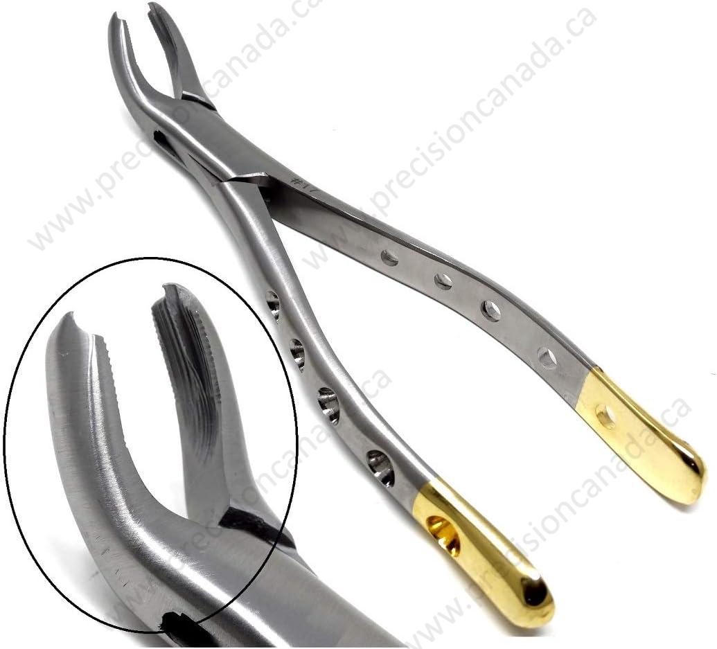 Extracting Forceps Archives - Precision Canada